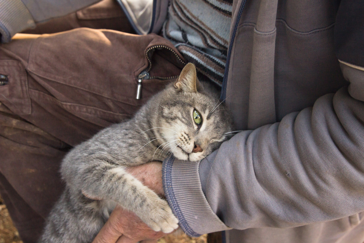 Man hugging his cat and the cat hugging his hand