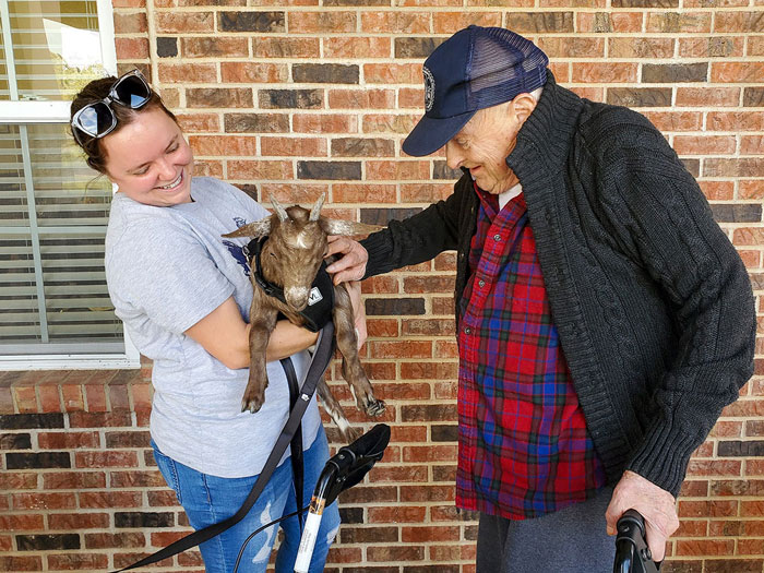 A resident at a senior living community enjoys a delightful interaction with a young goat during a farm animals day event, showcasing the joy and therapeutic benefits of animal-assisted activities.