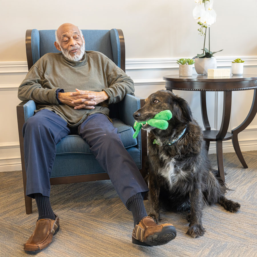 An elderly man with a beard is sitting in a blue armchair, and next to him is a black and white dog holding a green toy in its mouth.